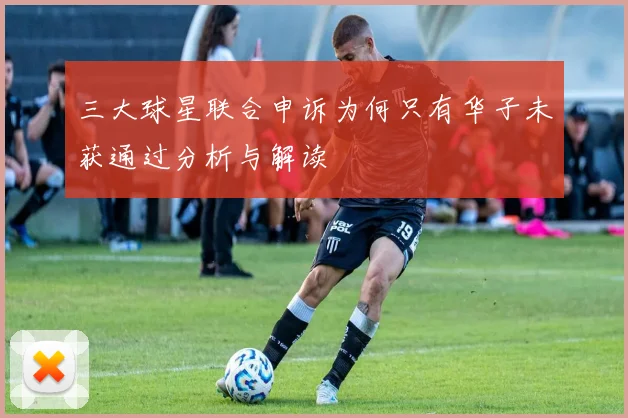 三大球星联合申诉为何只有华子未获通过分析与解读