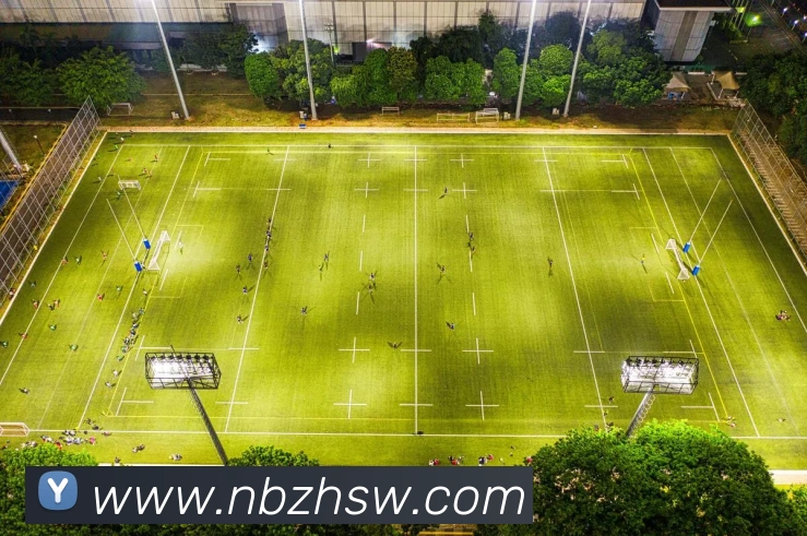 九游入口首页登录网APP 封面图